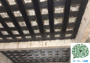 全椒厂房碳纤维加固